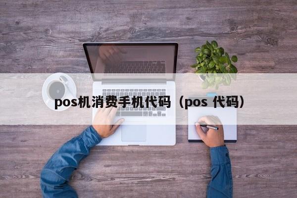 pos机消费手机代码（pos 代码）