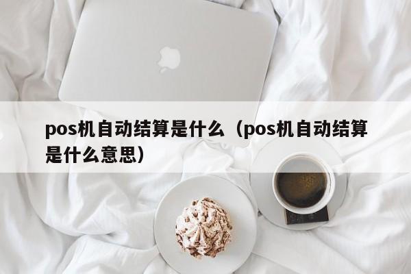 pos机自动结算是什么（pos机自动结算是什么意思）