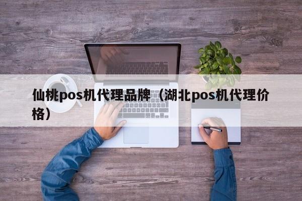 仙桃pos机代理品牌（湖北pos机代理价格）