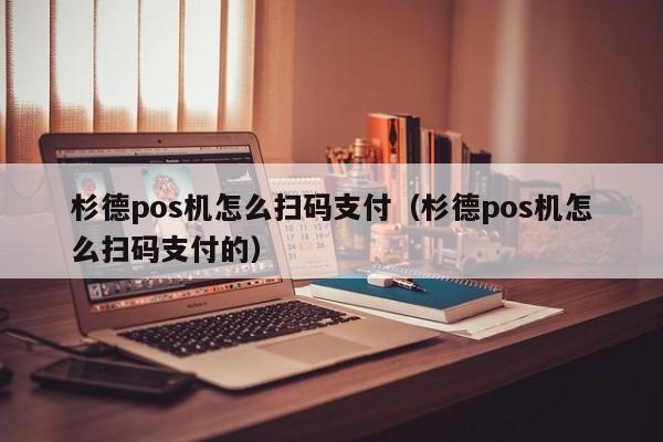 杉德pos机怎么扫码支付（杉德pos机怎么扫码支付的）