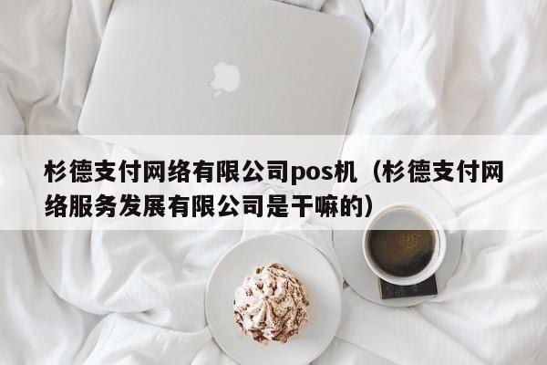 杉德支付网络有限公司pos机（杉德支付网络服务发展有限公司是干嘛的）
