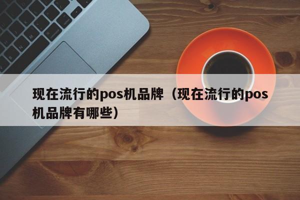 现在流行的pos机品牌（现在流行的pos机品牌有哪些）