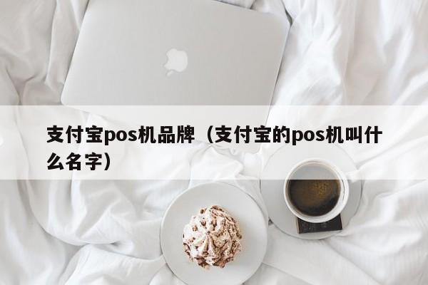 支付宝pos机品牌（支付宝的pos机叫什么名字）