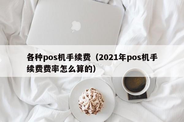 各种pos机手续费（2021年pos机手续费费率怎么算的）