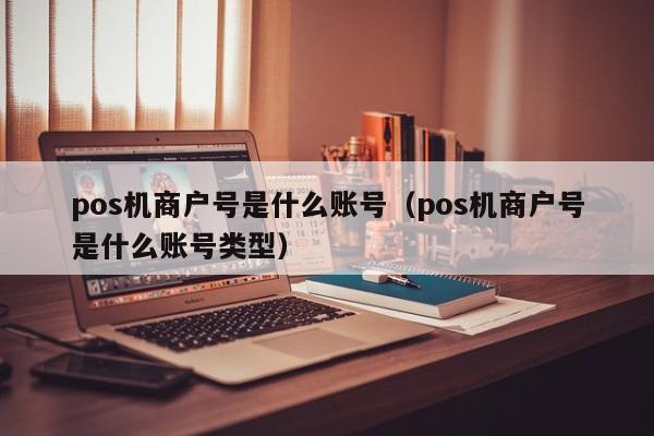 pos机商户号是什么账号（pos机商户号是什么账号类型）