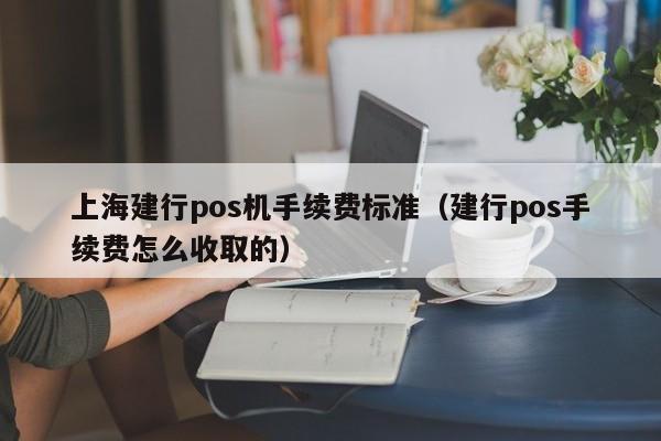 上海建行pos机手续费标准（建行pos手续费怎么收取的）