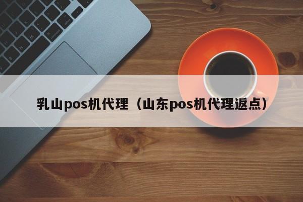 乳山pos机代理（山东pos机代理返点）