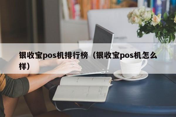 银收宝pos机排行榜（银收宝pos机怎么样）