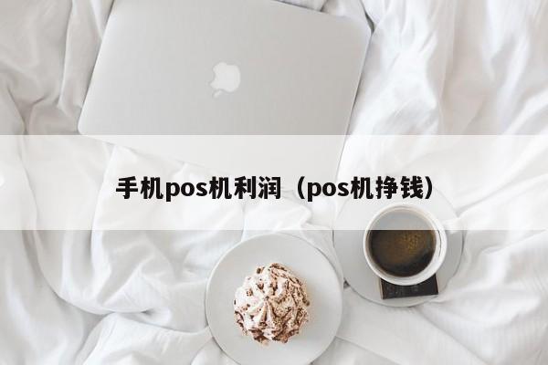 手机pos机利润（pos机挣钱）