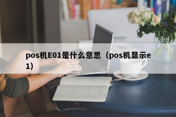 pos机E01是什么意思（pos机显示e1）