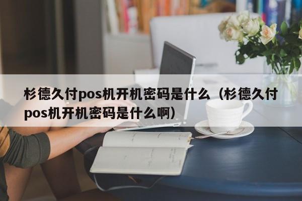 杉德久付pos机开机密码是什么（杉德久付pos机开机密码是什么啊）