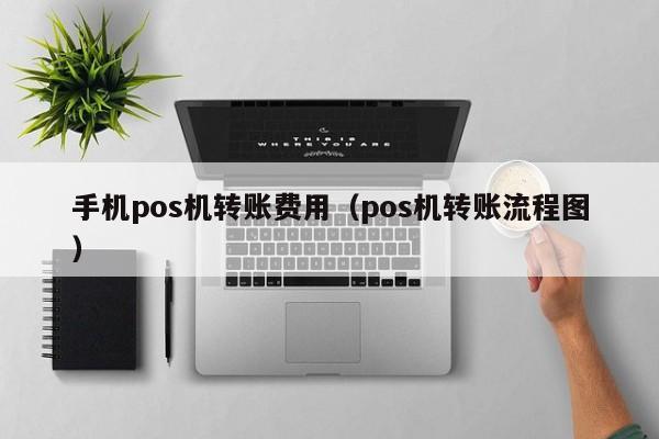 手机pos机转账费用（pos机转账流程图）