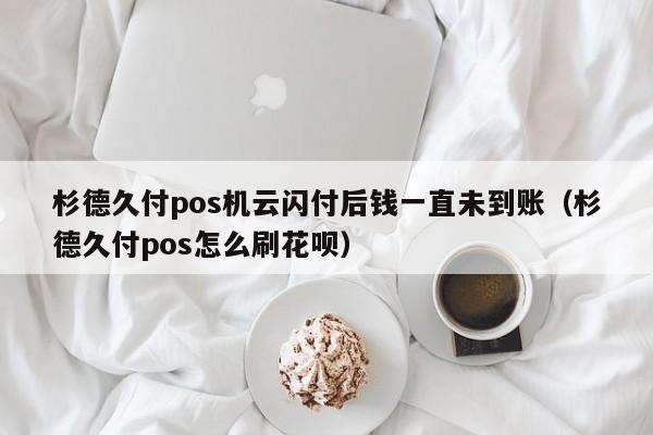 杉德久付pos机云闪付后钱一直未到账（杉德久付pos怎么刷花呗）