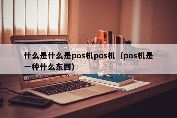 什么是什么是pos机pos机（pos机是一种什么东西）