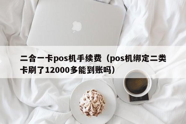 二合一卡pos机手续费（pos机绑定二类卡刷了12000多能到账吗）