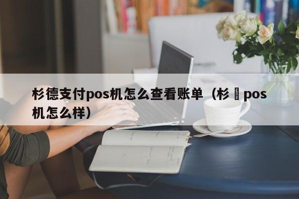 杉德支付pos机怎么查看账单（杉徳pos机怎么样）