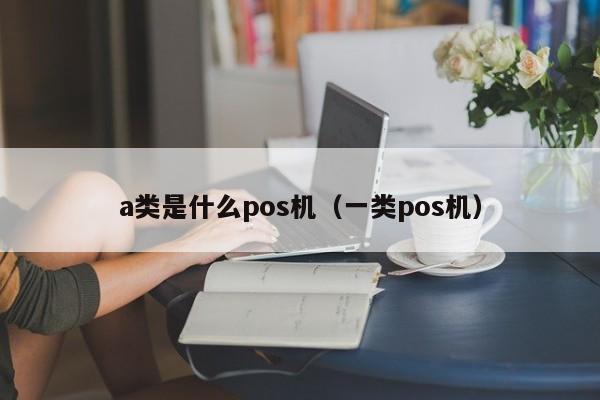 a类是什么pos机（一类pos机）