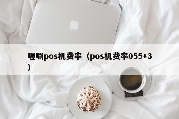 喔唰pos机费率（pos机费率055+3）
