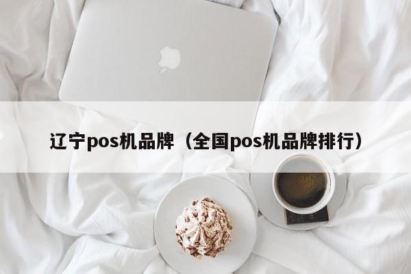 辽宁pos机品牌（全国pos机品牌排行）