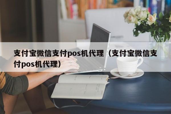 支付宝微信支付pos机代理（支付宝微信支付pos机代理）
